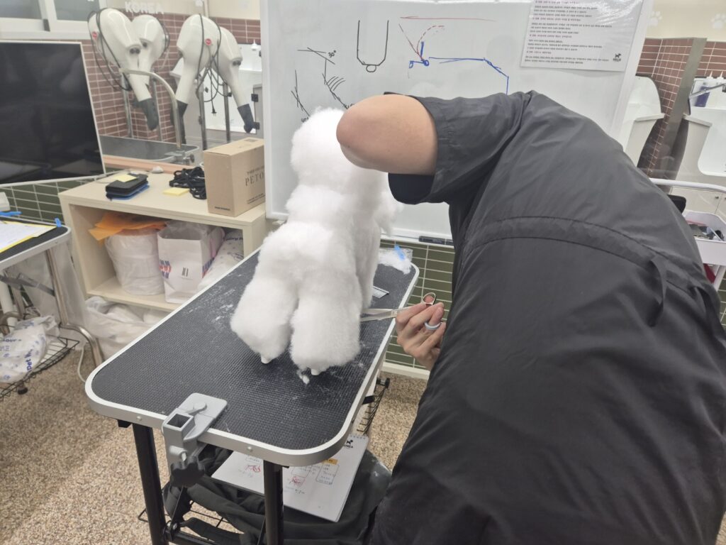 애견미용학원
코리아펫아카데미