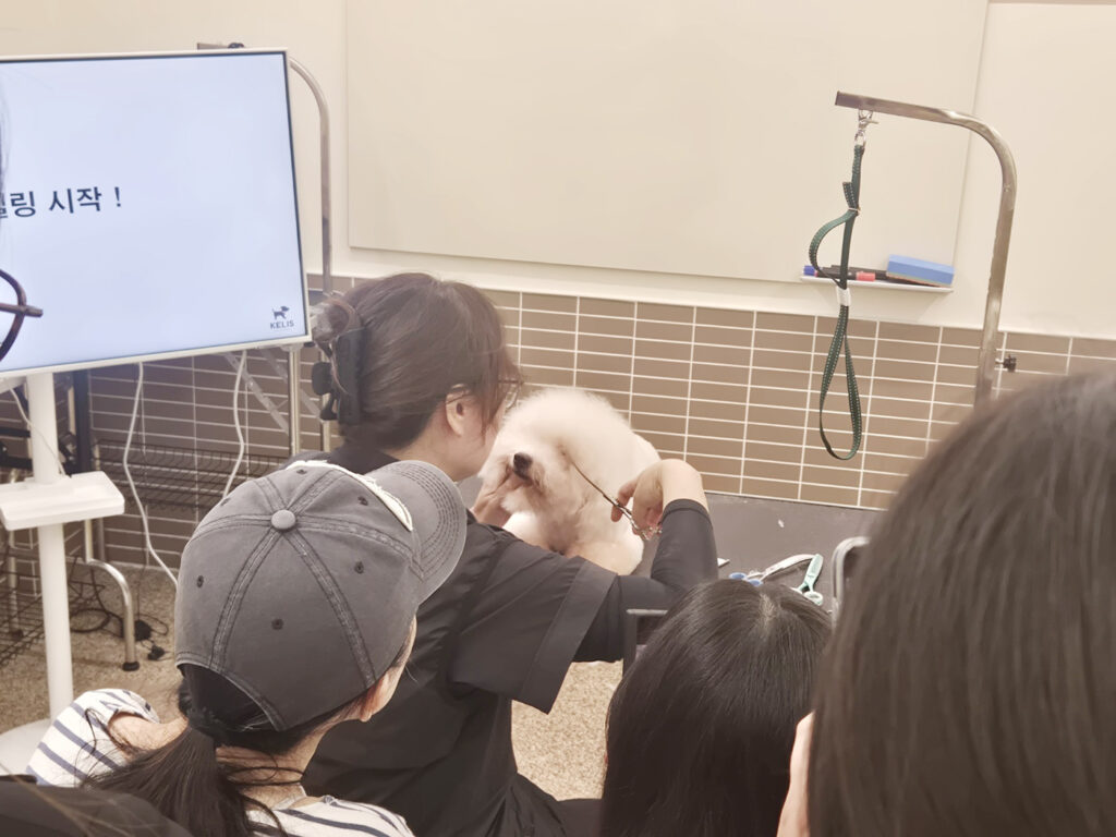 애견미용학원
코리아펫아카데미