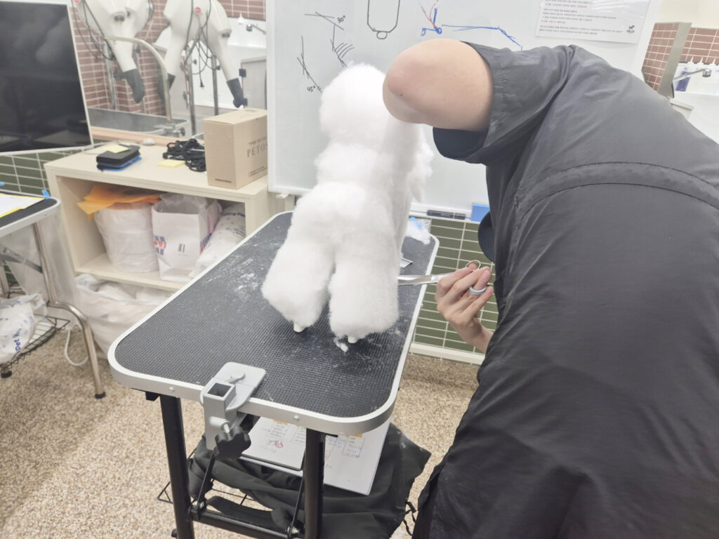 애견미용학원
코리아펫아카데미