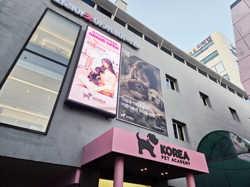 애견미용학원
애견미용자격증
애견미용자격증 2급
애견미용자격증2급
