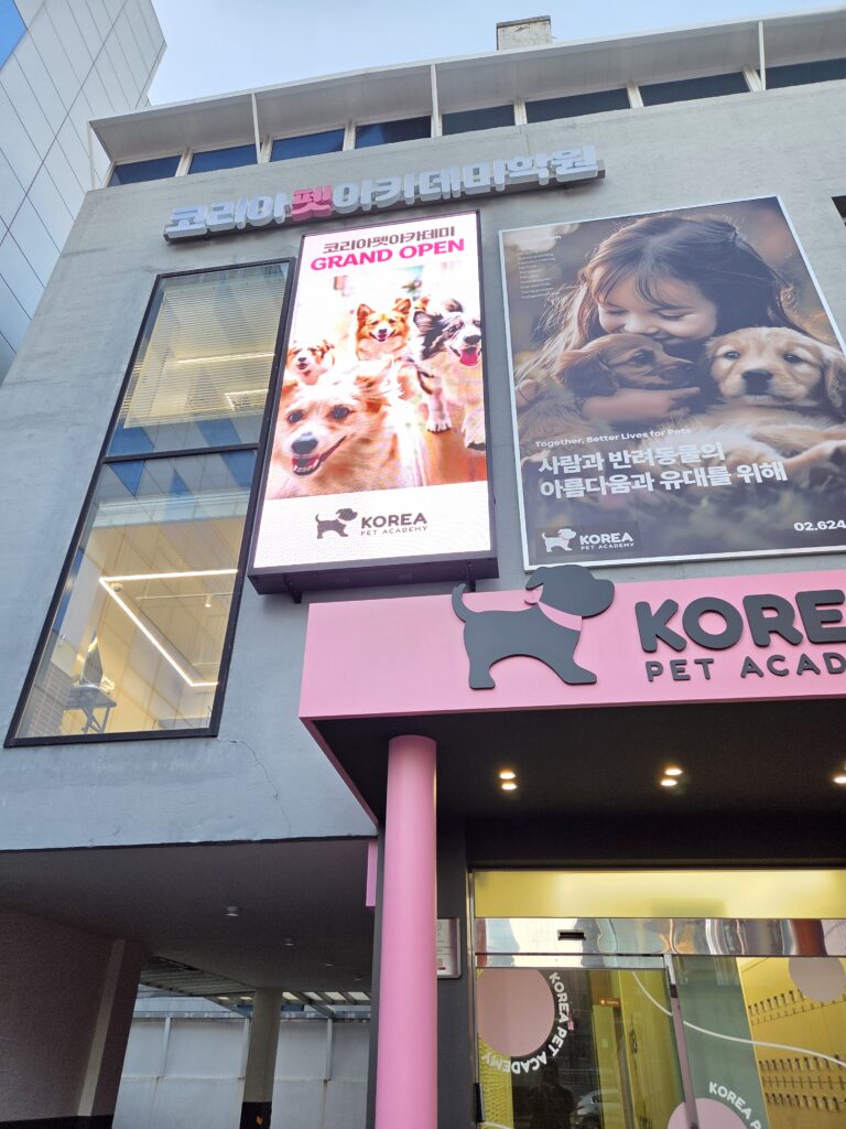 강아지미용학원
코리아펫아카데미