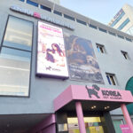 강남애견미용학원