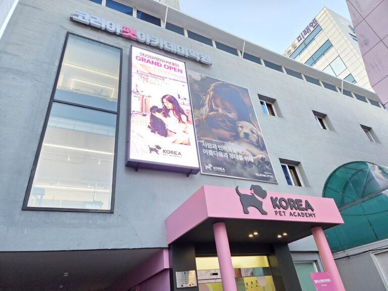 강남애견미용학원