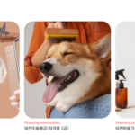 코라아펫아카데미 애견미용 교육과정