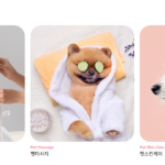 펫케어 펫아로마타레피 펫마사지 펜스킨케어