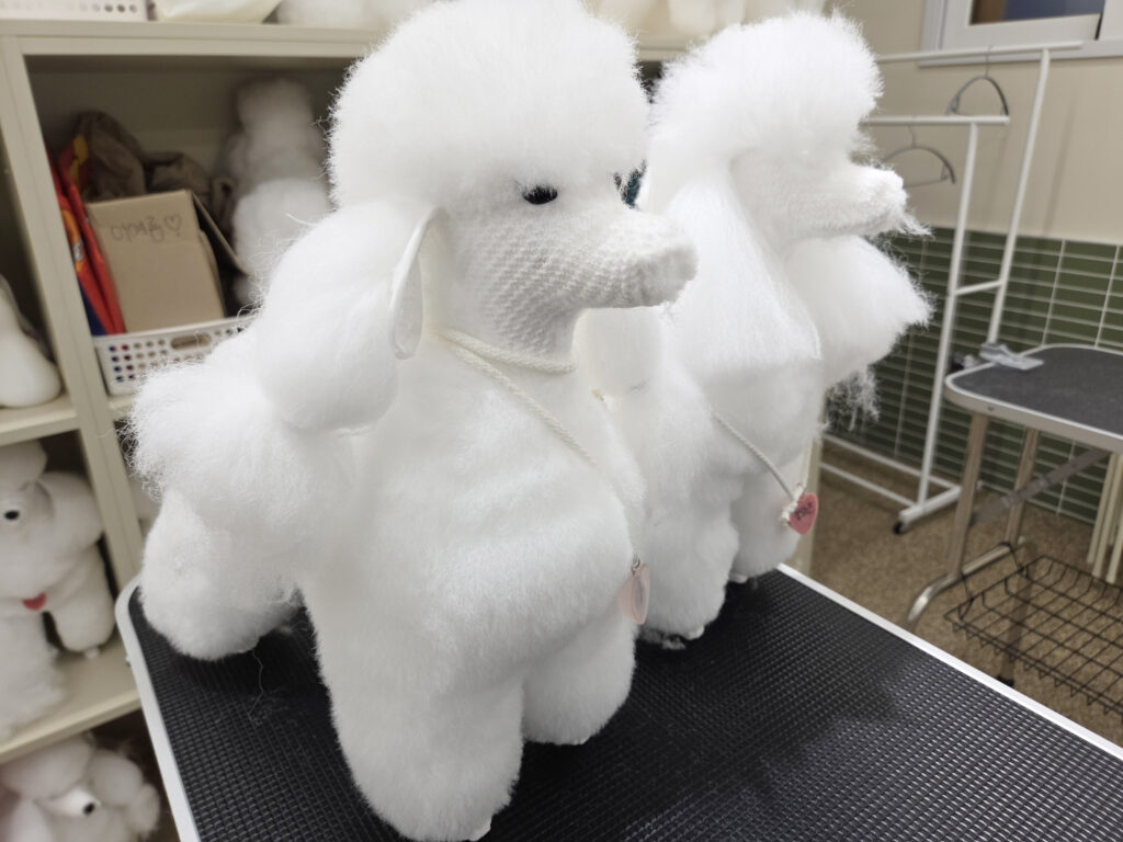 애견미용 자격증
korea-pet-academy-dog-grooming-license