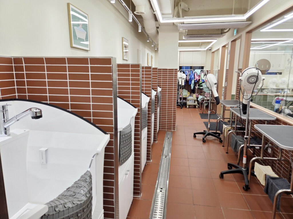 애견미용자격증
korea-pet-academy-dog-grooming-license