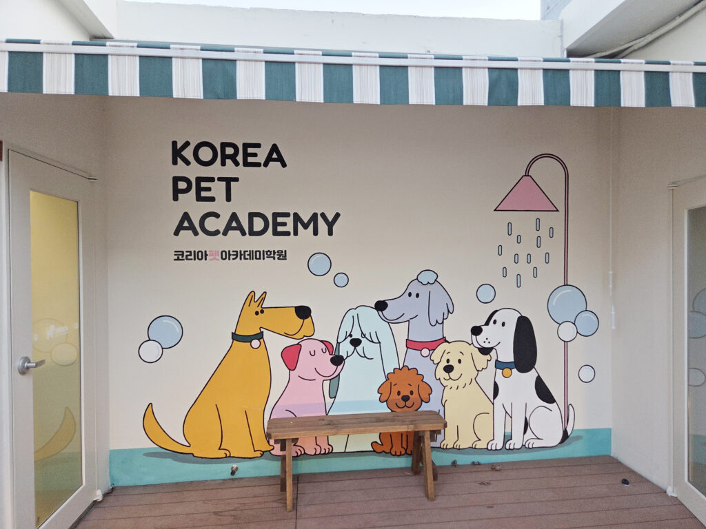 korea-pet-academy-dog-grooming-license
애견미용자격증
