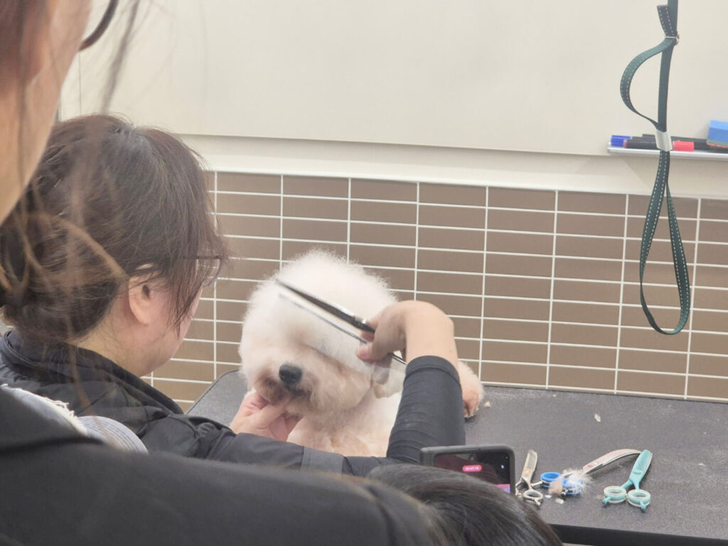 코리아펫아카데미, 애견미용학원
