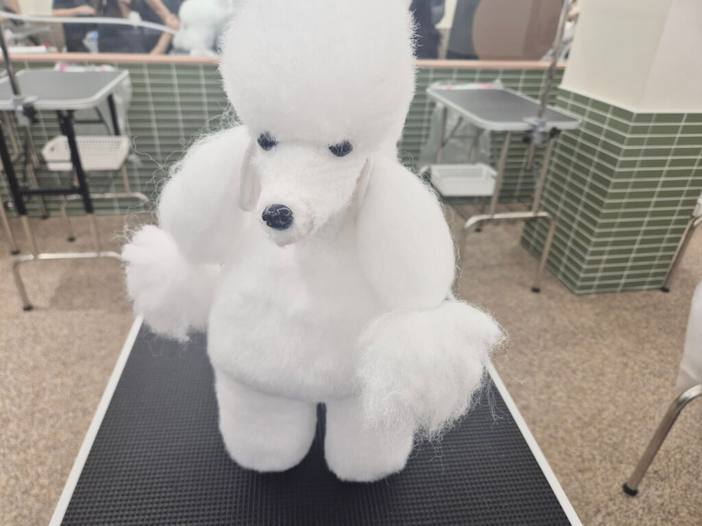 애견미용 3급 자격증 실기 수업 현장