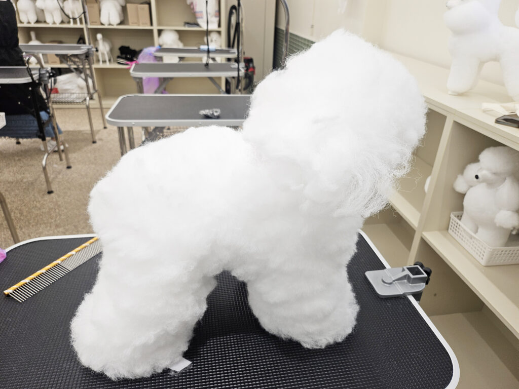 애견미용학원
코리아펫아카데미