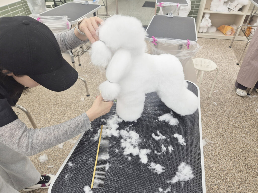 서울애견미용학원
