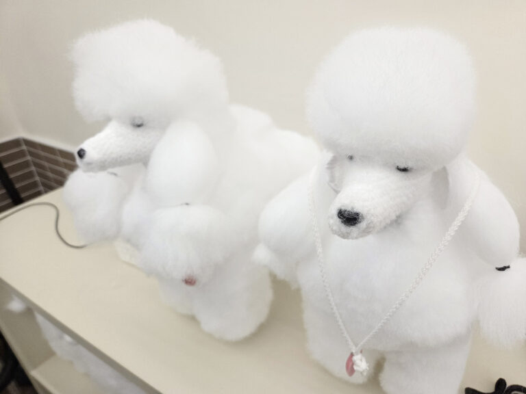 애견미용자격증3급